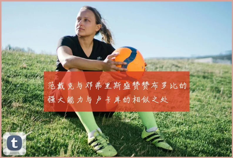 范戴克与邓弗里斯盛赞赞布罗比的强大能力与卢卡库的相似之处